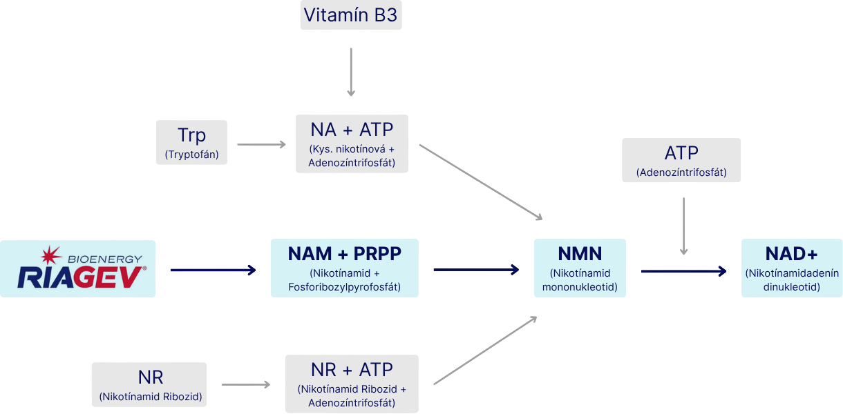 NATIOS_NAD+_RiaGev®,_750_mg,_90_veganských_kapslí